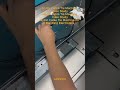 Stator Cable Tie Machine Case Study Nylon Cable Tie Machine for Bundling Electronics