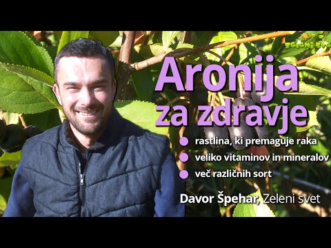 Video: Informacije o jagodah aronije - nasveti za gojenje jagod nero aronije na vrtu