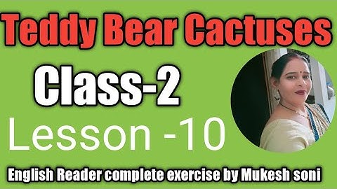 Class-2 Lesson- 10,Teddy Bear Cactuses with complete exercise by Mukesh soni