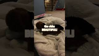 The Front Stunning fypage essa Itzforeverash