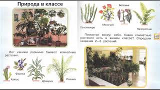 Окружающий мир 1 класс ч.1, тема урока "Природа в классе", с.32-33, Перспектива Окружающий мир 1 класс ч.1, тема урока "Природа в классе", с.32-33, Перспектива