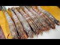 最強のエビ シータイガー で巨大エビフライを作る 