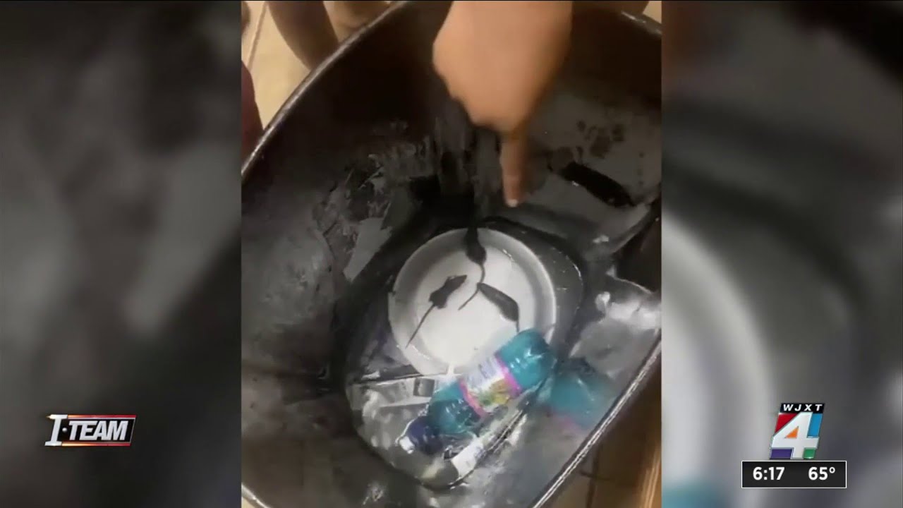 Inspection reports explain violations and infestations at Hilltop