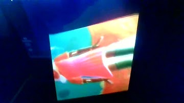 preview 2 squid game upside down effects