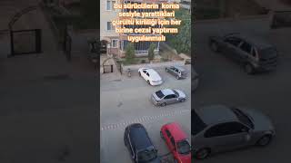 Korna Ve Gürültü Kirliliği Sorunu.