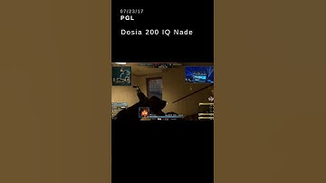 🔥TotalRecap🔥 | Dosia 200 IQ Nade