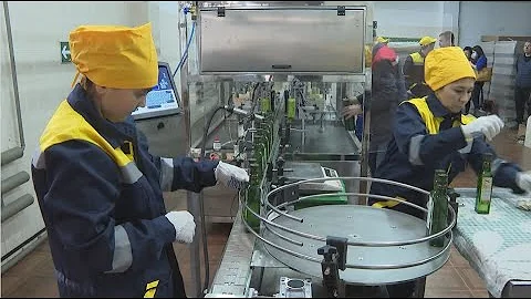 Сафлоровое масло начали производить в Шымкенте