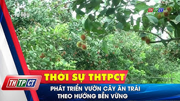 Phát triển vườn cây ăn trái theo hướng bền vững | Cần Thơ TV