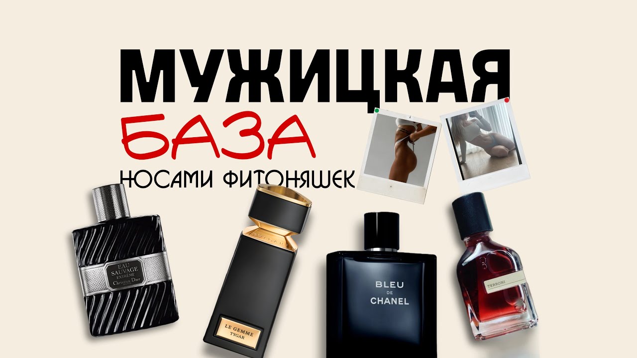 ФИТОНЯШКИ ОЦЕНИВАЮТ МУЖСКИЕ АРОМАТЫ | БАЗА МУЖСКОЙ ПАРФЮМЕРИИ