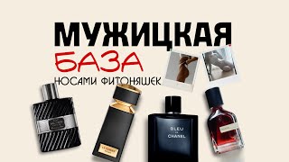 картинка: ФИТОНЯШКИ ОЦЕНИВАЮТ МУЖСКИЕ АРОМАТЫ | БАЗА МУЖСКОЙ ПАРФЮМЕРИИ