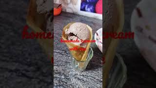 homemade cone and ice cream 