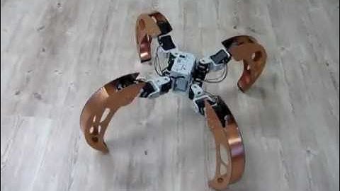 Quadruped with walking and rolling locomotion [BiLBIQ 02 - V 03 - following the robot]