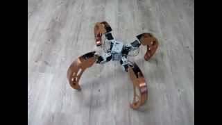 Quadruped with walking and rolling locomotion [BiLBIQ 02 - V 03 - following the robot]