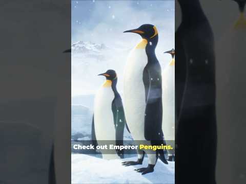 How Animals Survive