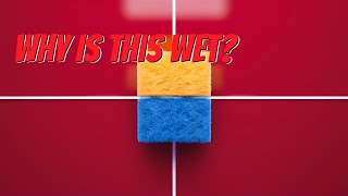 Why Does Water Make Things Wet? The Science Explained