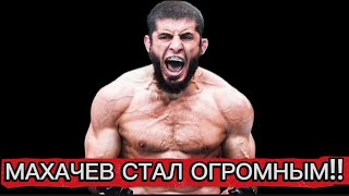 картинка: МАХАЧЕВ В ДВОЕ БОЛЬШЕ ДЖЕКА?!