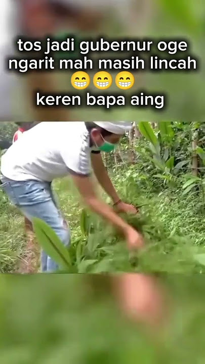 Hindari berdebat dengan orang lapar, bisa diterkam 🫰#kdm #shortsviral #dedimulyadi #bapaaing #cover
