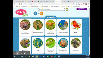How to use Pebble Go for our Animal Research Project