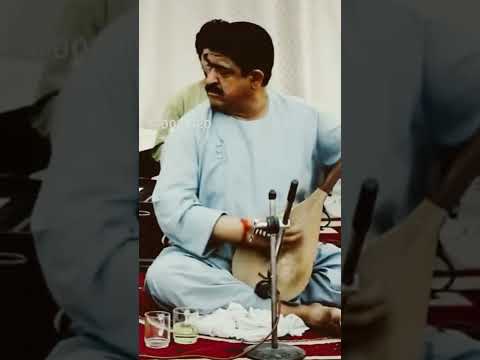 نغمه خالص حاجی رنگین