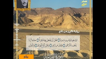 عميد العائلة المنشاوية القارئ صديق تايب المنشاوي  يمتع برواية قالون عن نافع