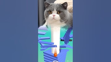my cute cat playing stack ball level 21 #cat #funny #cutecat #gaming