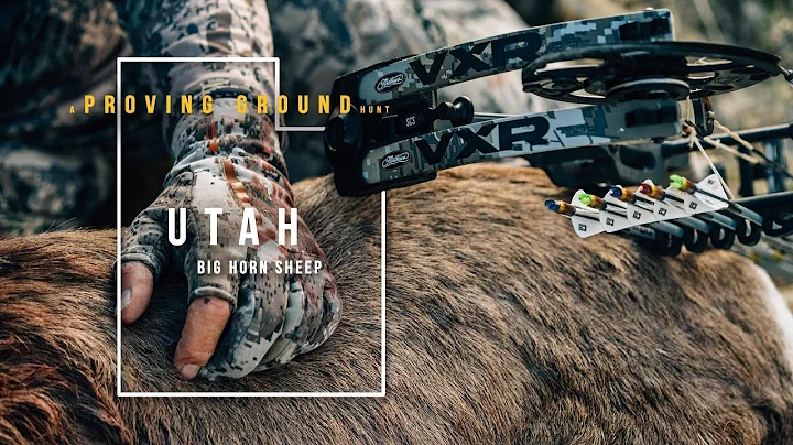 2020 Proving Ground // Utah Bighorn with Joel Maxfield