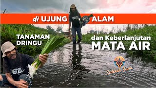 at the END OF NATURE | Dringu Plants and the Sustainability of 'MATA AIR'