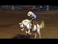 Bronc Riding Set 2 - 2019 Earth Ranch Rodeo