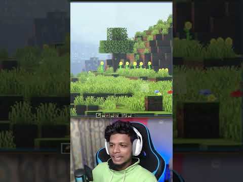 Minecraft FACTs !!