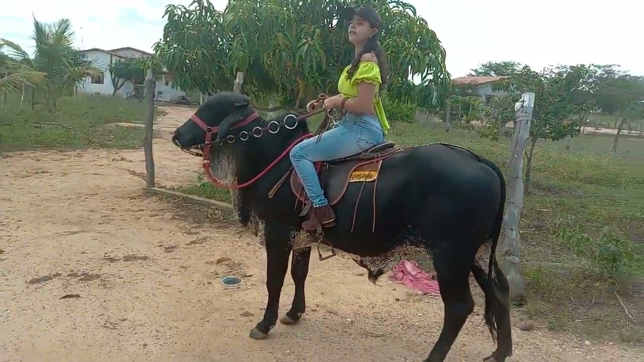 Domingão diferente! sereno e a morena 🐂🏜️