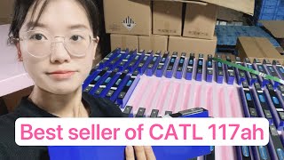 Best seller of CATL 117ah 3.7V lithium ion battery cell