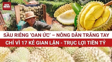 17 kẻ ‘ăn trên nước mắt’ nông dân: Gian lận mã số vùng trồng, đẩy sầu riêng Việt đến bờ vực lao đao