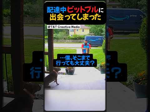 配達中、ピットブルに出会った男性。