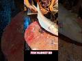 Amazing Fish Cutting Skills | Fish Market #shorts #fish #fishcutting