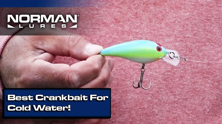 The Best Cold Water Bass Fishing Crankbait! (Norman Speed N)