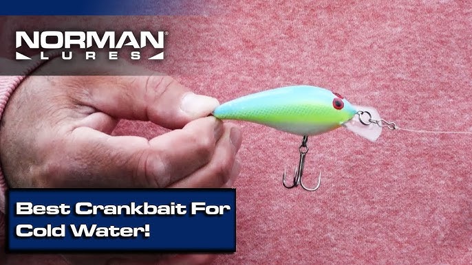 How To Fish The *NEW* Norman Speed N Crankbait (Cold Water Bass Fishing) 