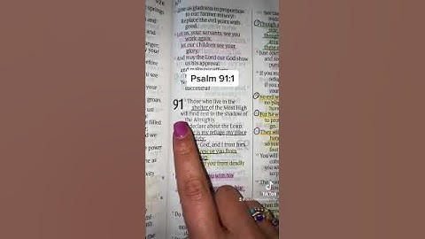 🕊️ The Secret Place of Safety (Psalm 91:1)