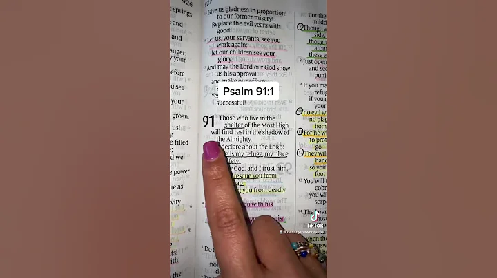 🕊️ The Secret Place of Safety (Psalm 91:1)