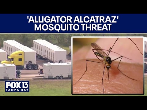 Mosquito threat at 'Alligator Alcatraz'