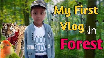 My First Vlog in Forest 🤩  #vlog 