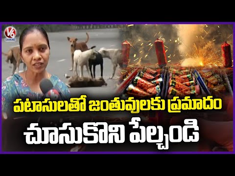 Doctors Suggesting Public Not To Hurt Animals & Follow Safety Precautions While Firing Crackers | V6 - V6NEWSTELUGU