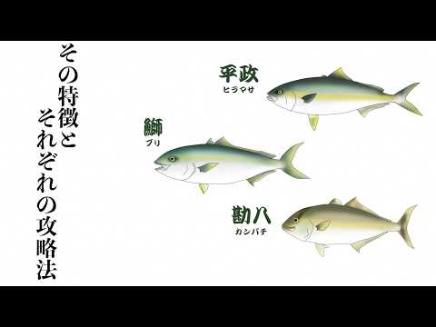 A thorough explanation of the differences between the three main