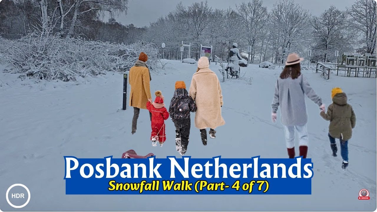 ❄️Snowfall Walk 2026: Exploring Posbank Netherlands (Part 4/7) | Winter Wonderland 4K