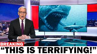 Famous Marine Biologists Solved the Mystery of the Vanished Great White — The Predator Is Terrifyingly Real Profile
