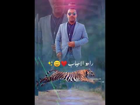 اغنية حبة روقان شعبى كليسك جاااامدان 