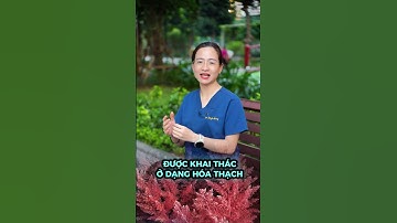 Uống canxi mãi vẫn không hiệu quả? Bạn đang dùng sai loại #drtrang #drhuyentrang #bổsungcanxi