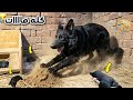 شكلاته هجمت علي الجراوي وكله مااااااات 