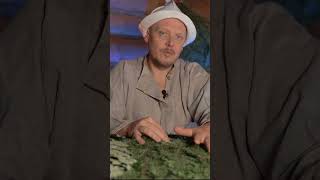 ЧТО ЕСТЬ И ПИТЬ В БАНЕ? Еда и напитки в бане! #баня #баншик #праная  #парилка  #русская баня  #еда