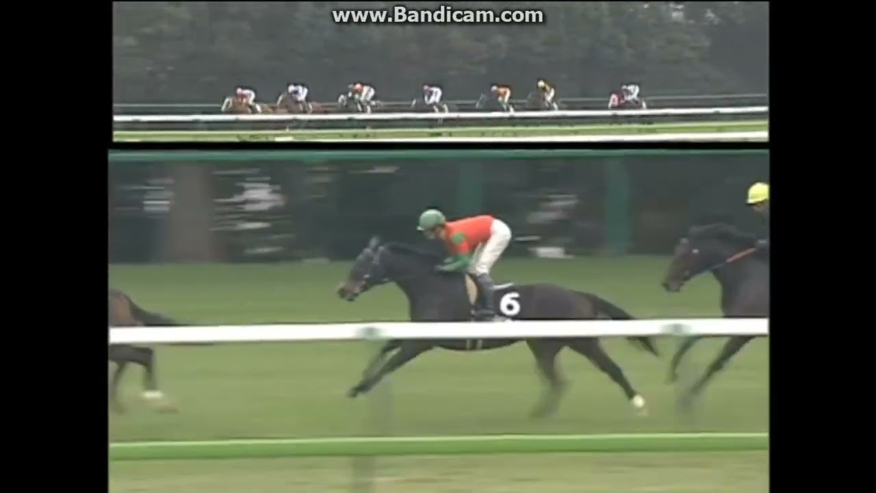 2006 中京2歳S (OP) ダイワスカーレット - YouTube