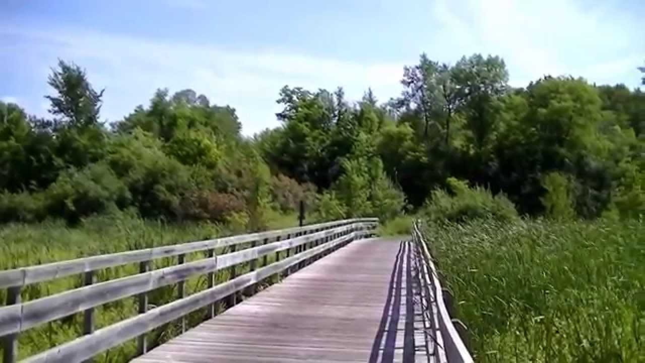 STUNNING 2 HOUR SCREENSAVER ! Nature in HD ! YouTube